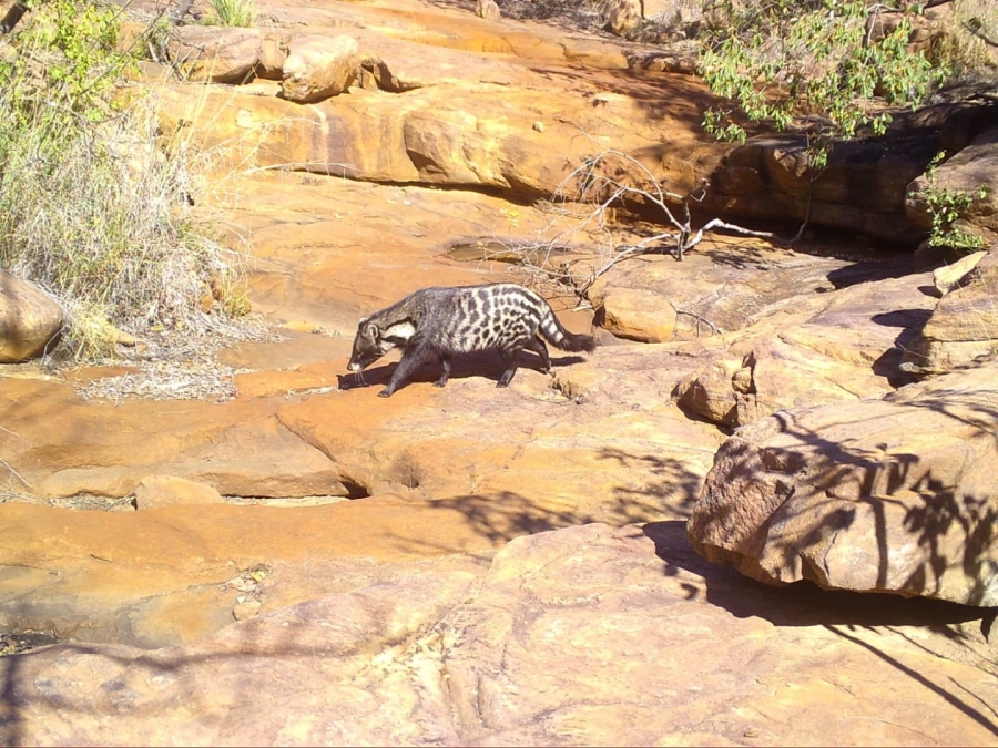 0 Bedroom Property for Sale in Lephalale Limpopo