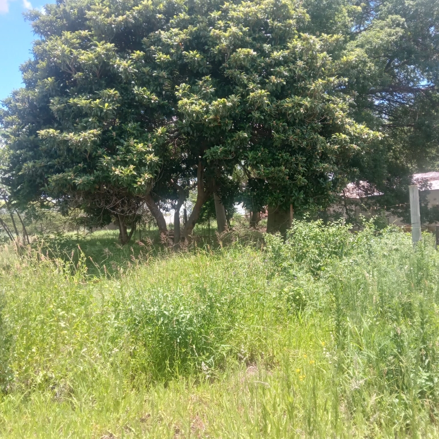 2 Bedroom Property for Sale in Roodekuil AH Limpopo