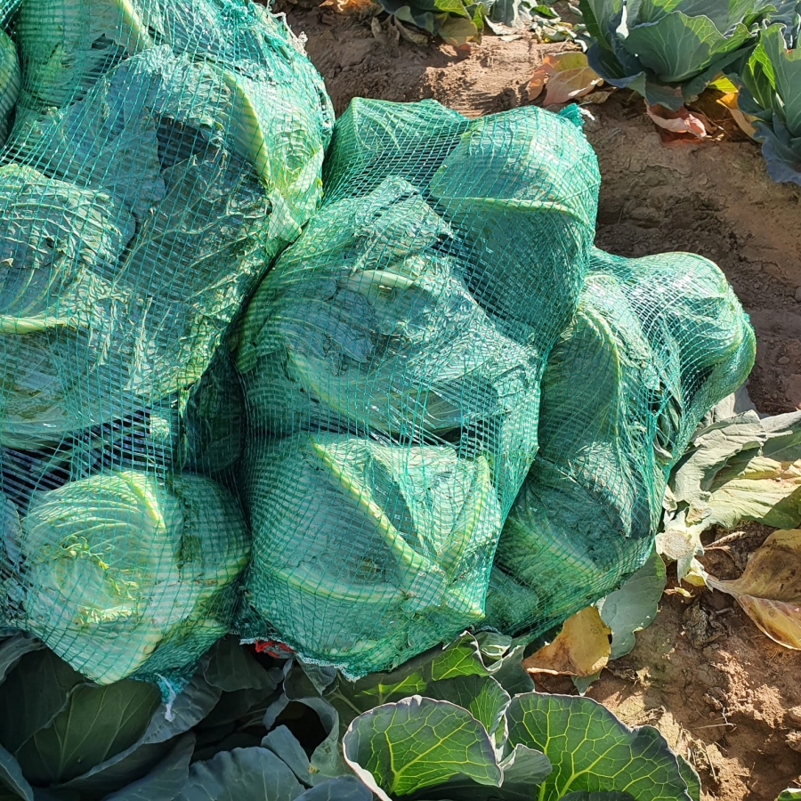 0 Bedroom Property for Sale in Alma Limpopo