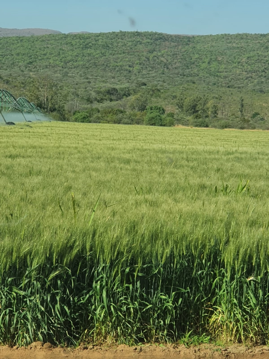 0 Bedroom Property for Sale in Alma Limpopo