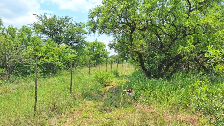 2 Bedroom Property for Sale in Bela Bela Limpopo