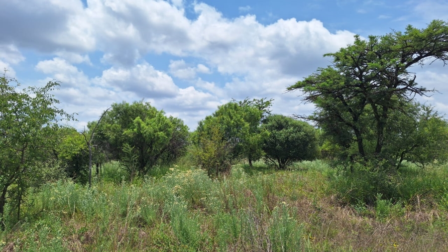 2 Bedroom Property for Sale in Bela Bela Limpopo