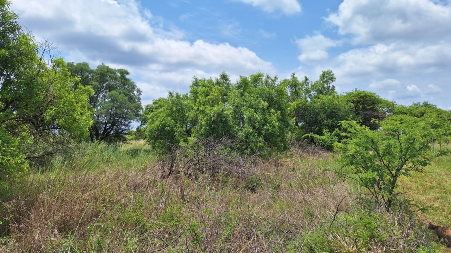 2 Bedroom Property for Sale in Bela Bela Limpopo