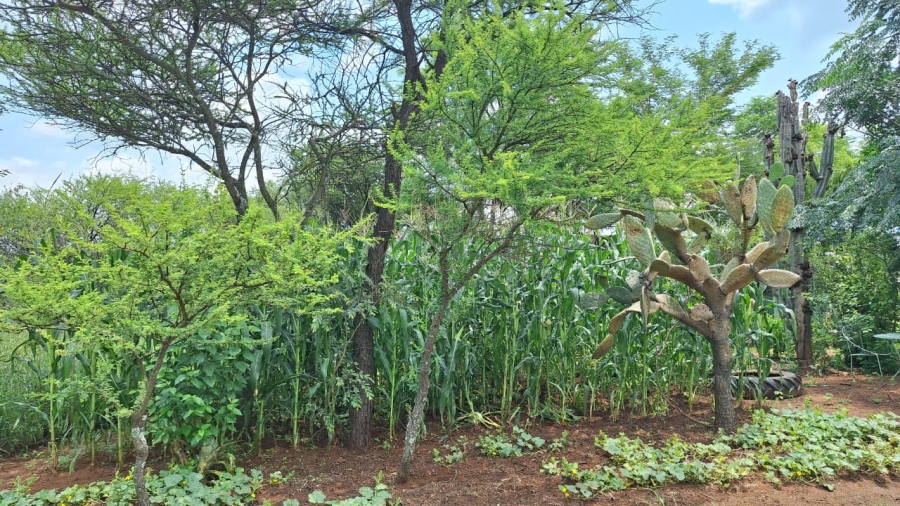 2 Bedroom Property for Sale in Bela Bela Limpopo