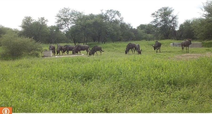 4 Bedroom Property for Sale in Lephalale Limpopo