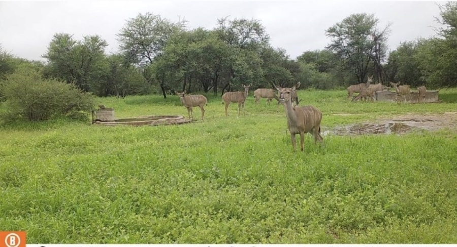 4 Bedroom Property for Sale in Lephalale Limpopo