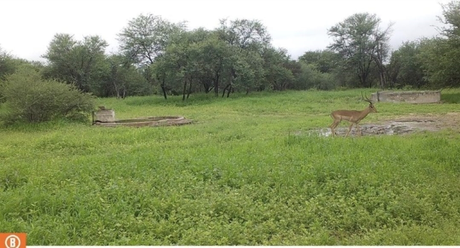 4 Bedroom Property for Sale in Lephalale Limpopo