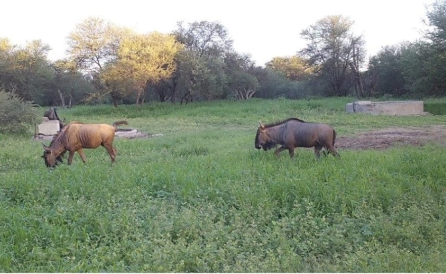 4 Bedroom Property for Sale in Lephalale Limpopo