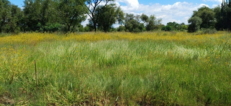 0 Bedroom Property for Sale in Bela Bela Limpopo