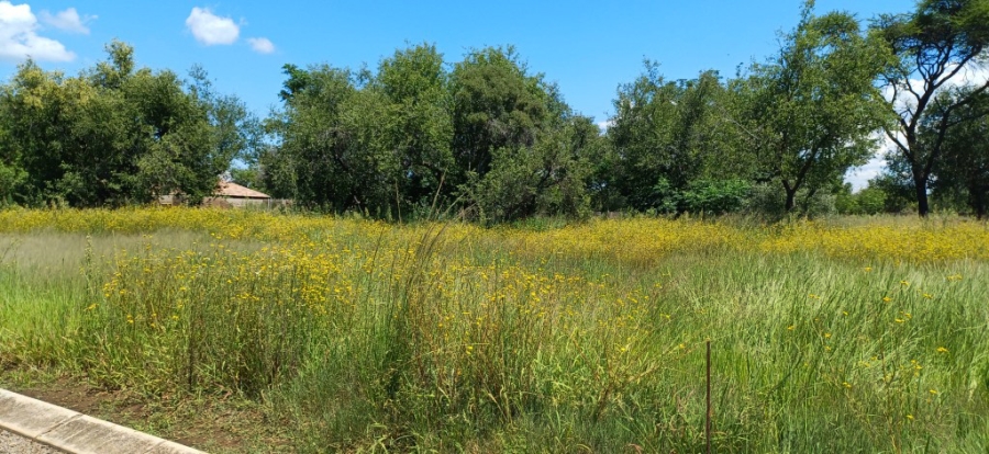 0 Bedroom Property for Sale in Bela Bela Limpopo