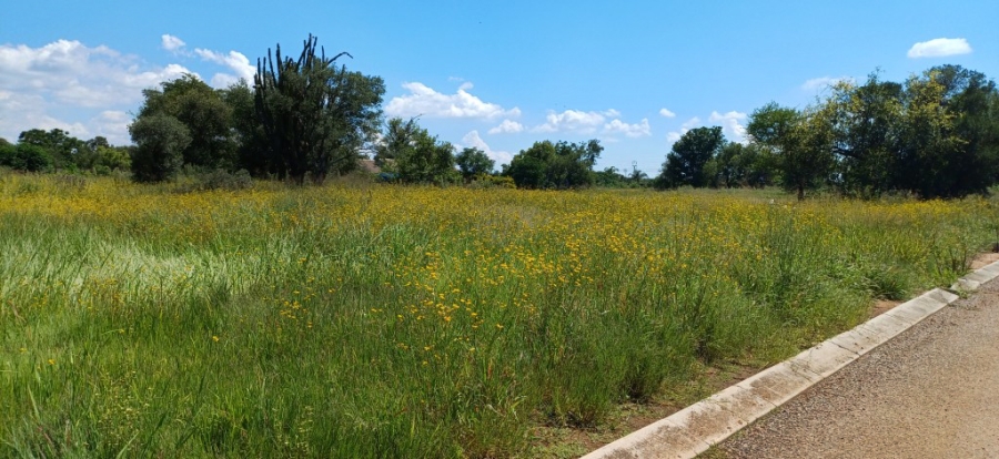 0 Bedroom Property for Sale in Bela Bela Limpopo