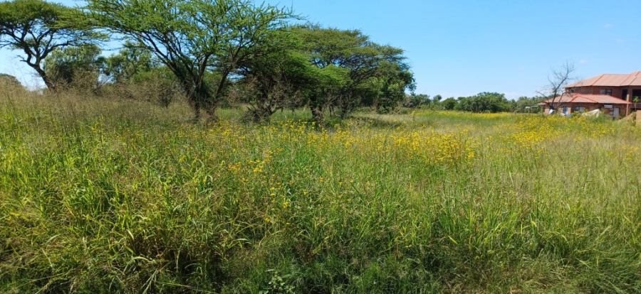 0 Bedroom Property for Sale in Bela Bela Limpopo