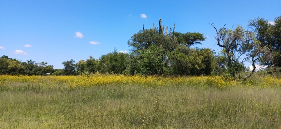 0 Bedroom Property for Sale in Bela Bela Limpopo