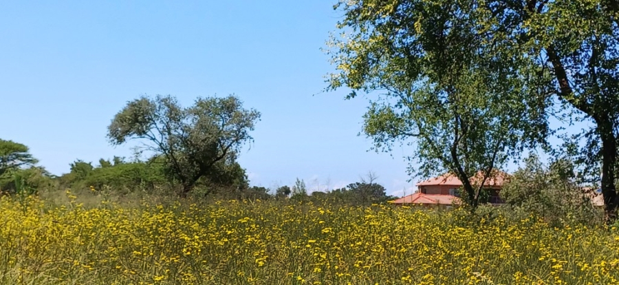 0 Bedroom Property for Sale in Bela Bela Limpopo