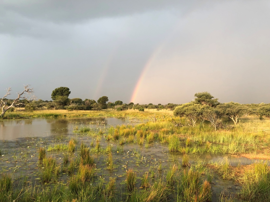 5 Bedroom Property for Sale in Vaalwater Limpopo