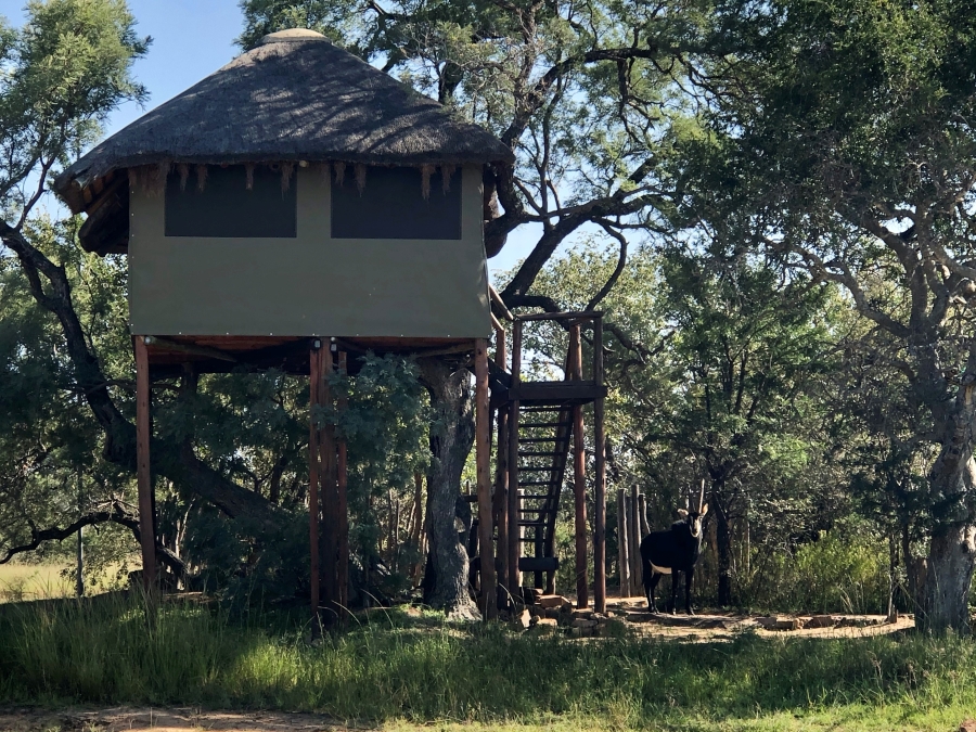 5 Bedroom Property for Sale in Vaalwater Limpopo