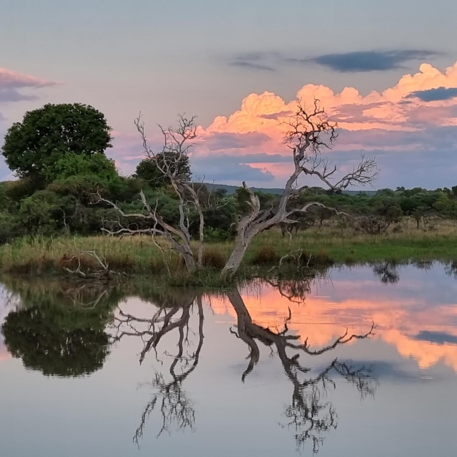 5 Bedroom Property for Sale in Vaalwater Limpopo