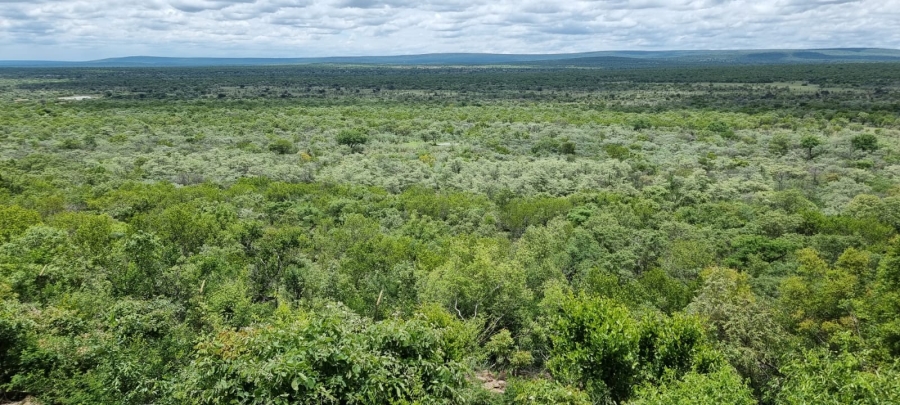 5 Bedroom Property for Sale in Vaalwater Limpopo