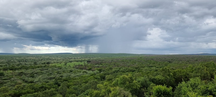 5 Bedroom Property for Sale in Vaalwater Limpopo