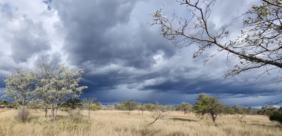 5 Bedroom Property for Sale in Vaalwater Limpopo