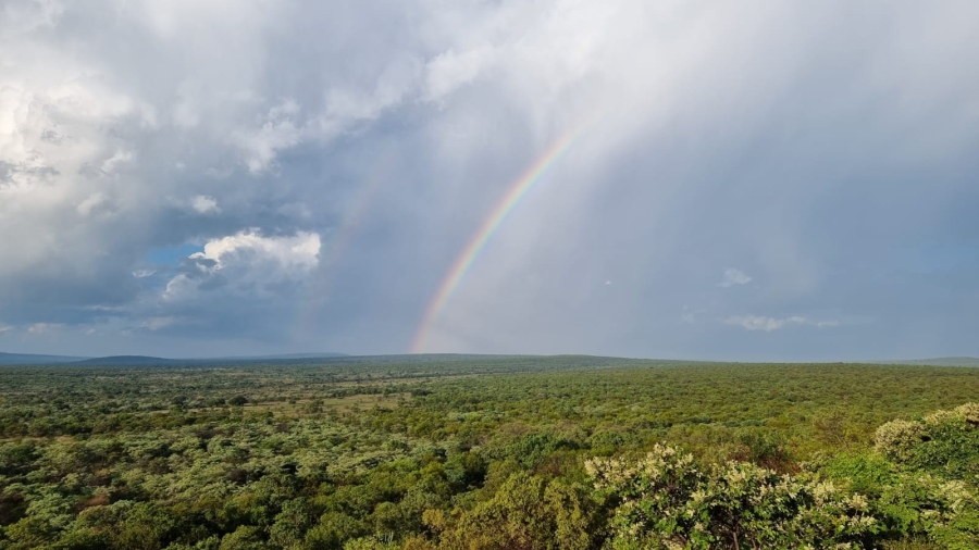 5 Bedroom Property for Sale in Vaalwater Limpopo