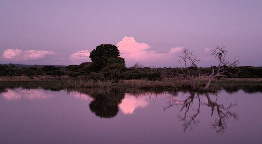 5 Bedroom Property for Sale in Vaalwater Limpopo