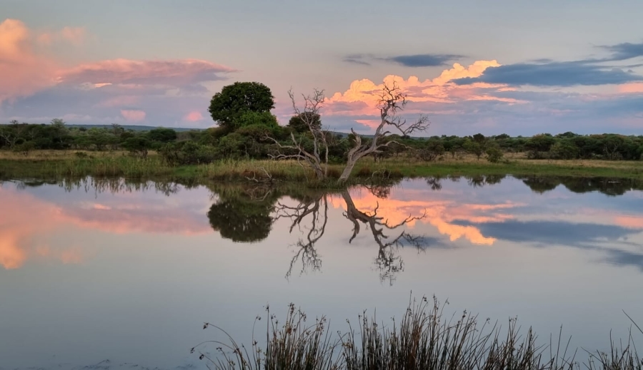 5 Bedroom Property for Sale in Vaalwater Limpopo