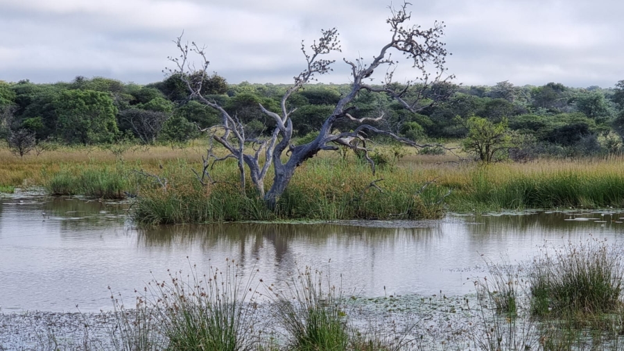 5 Bedroom Property for Sale in Vaalwater Limpopo