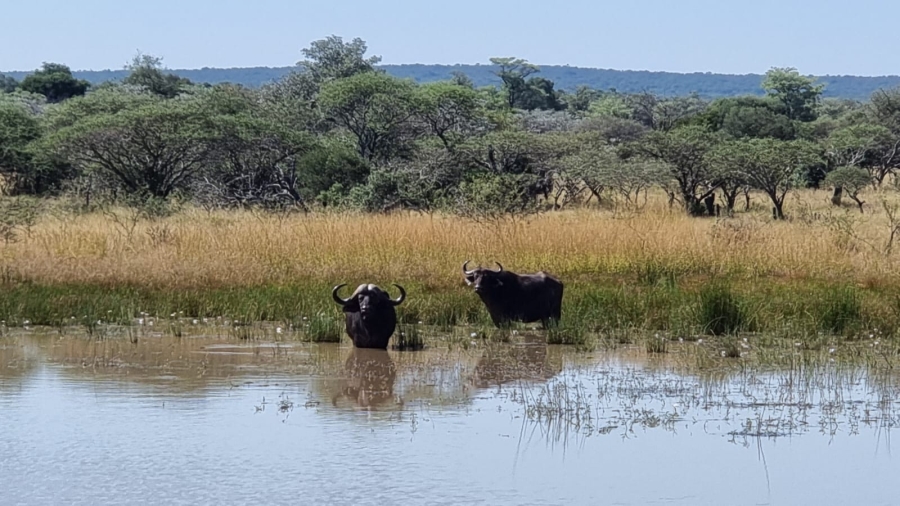 5 Bedroom Property for Sale in Vaalwater Limpopo