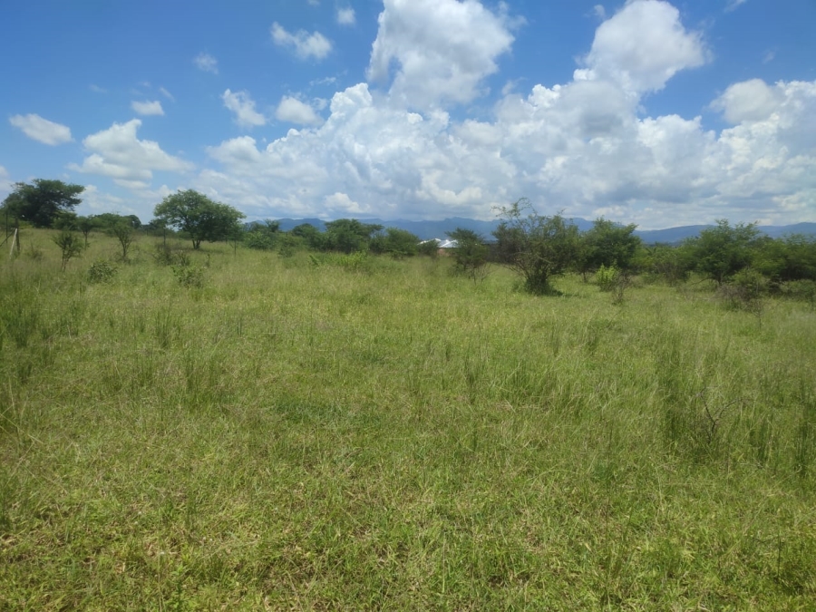 0 Bedroom Property for Sale in Tswinga Limpopo