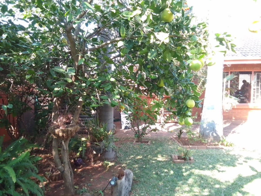 3 Bedroom Property for Sale in Aventura Warmbaths Limpopo