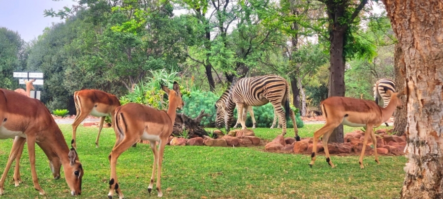 3 Bedroom Property for Sale in Koro Creek Golf Estate Limpopo