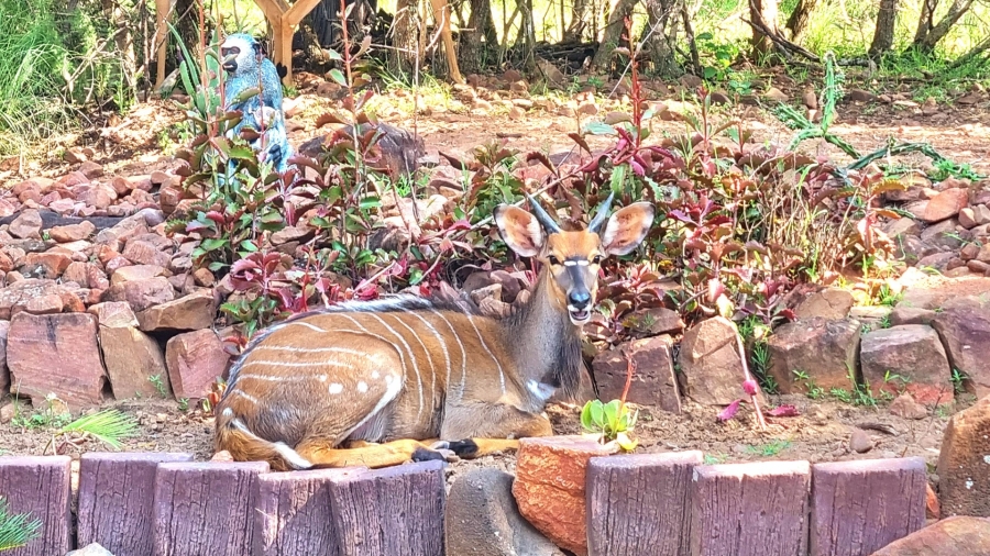 3 Bedroom Property for Sale in Koro Creek Golf Estate Limpopo