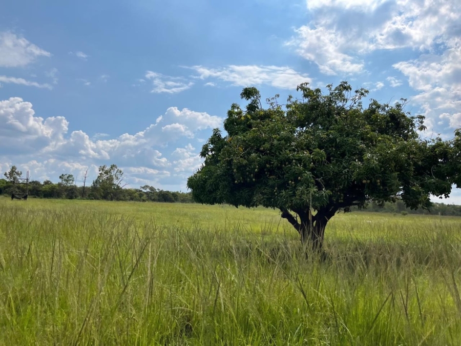 3 Bedroom Property for Sale in Mookgopong Limpopo