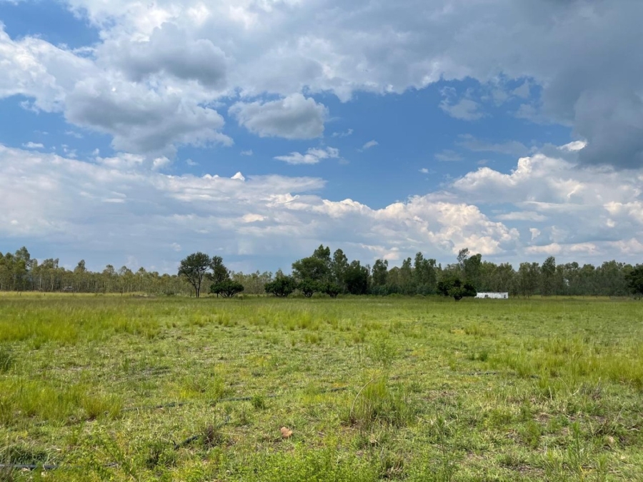 3 Bedroom Property for Sale in Mookgopong Limpopo