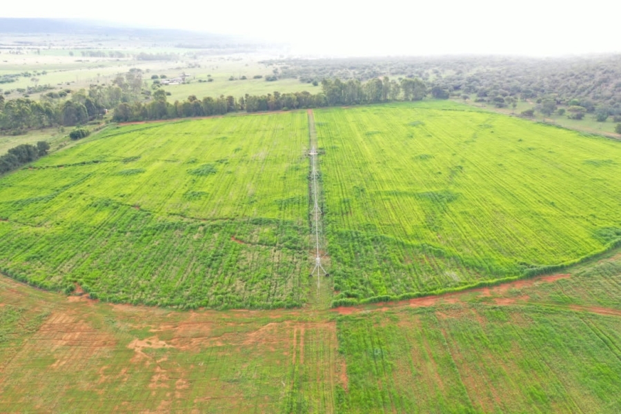 3 Bedroom Property for Sale in Modimolle Limpopo