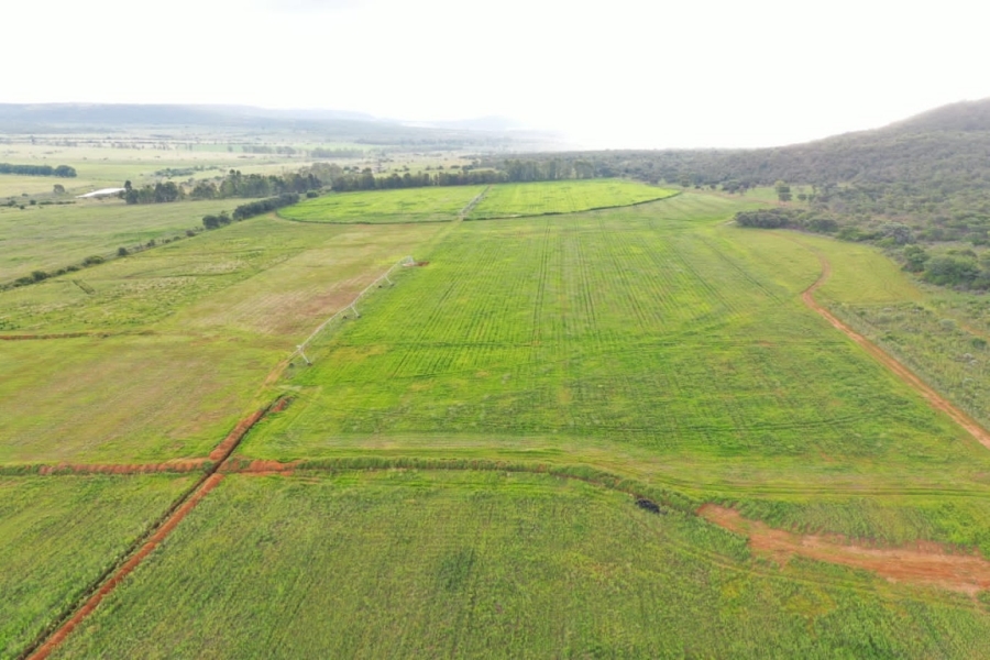 3 Bedroom Property for Sale in Modimolle Limpopo