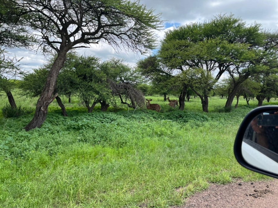 12 Bedroom Property for Sale in Bela Bela Limpopo