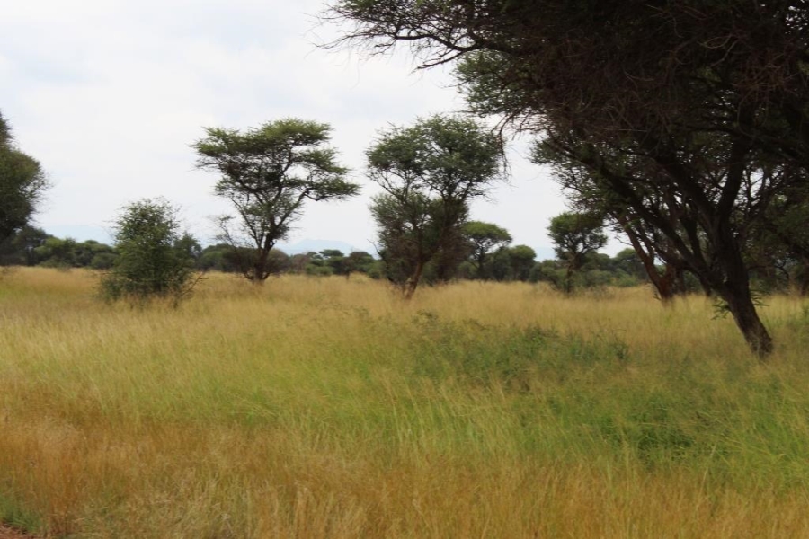 0 Bedroom Property for Sale in Northam Limpopo