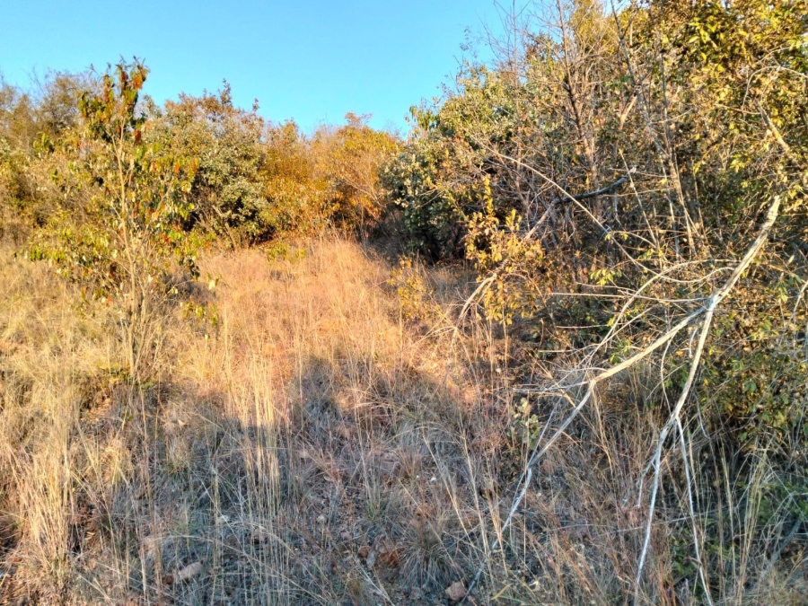 0 Bedroom Property for Sale in Fish Eagle Estate Limpopo