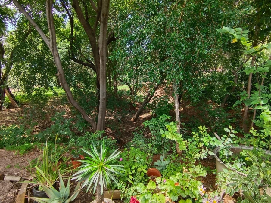 8 Bedroom Property for Sale in Bela Bela Limpopo