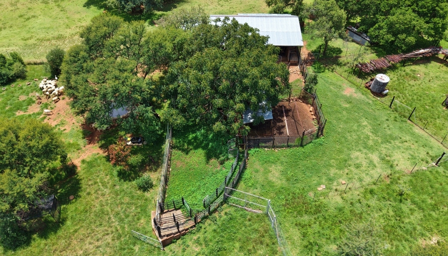 4 Bedroom Property for Sale in Vaalwater Limpopo