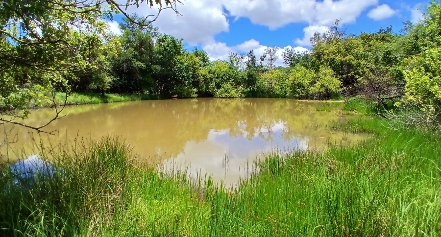 4 Bedroom Property for Sale in Vaalwater Limpopo