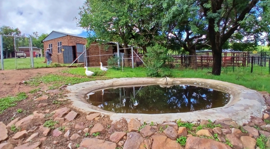 4 Bedroom Property for Sale in Vaalwater Limpopo