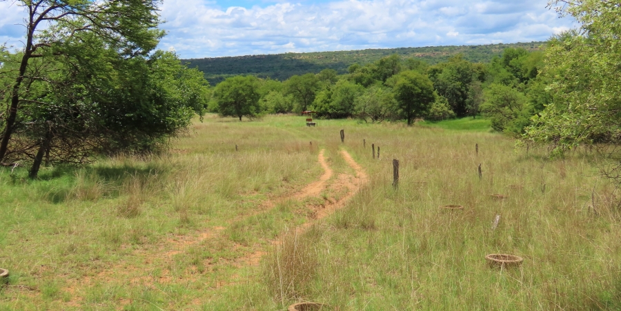 4 Bedroom Property for Sale in Vaalwater Limpopo