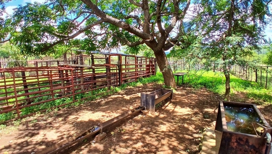 4 Bedroom Property for Sale in Vaalwater Limpopo