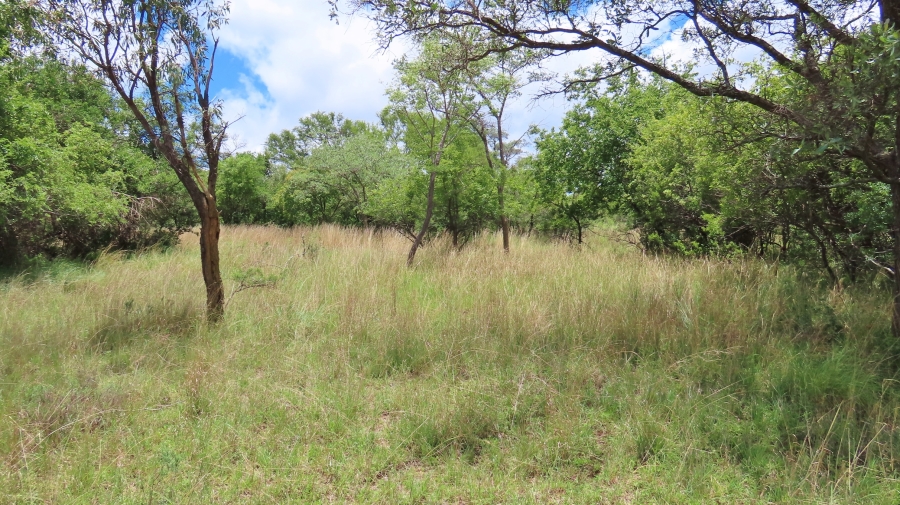 4 Bedroom Property for Sale in Vaalwater Limpopo