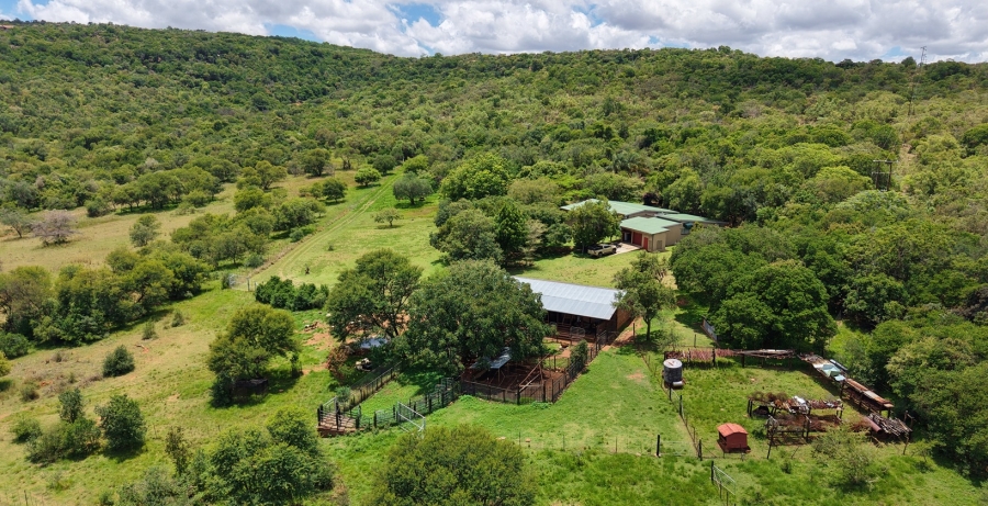 4 Bedroom Property for Sale in Vaalwater Limpopo