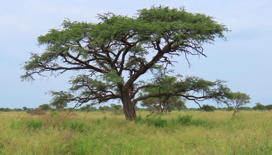 7 Bedroom Property for Sale in Thabazimbi Rural Limpopo