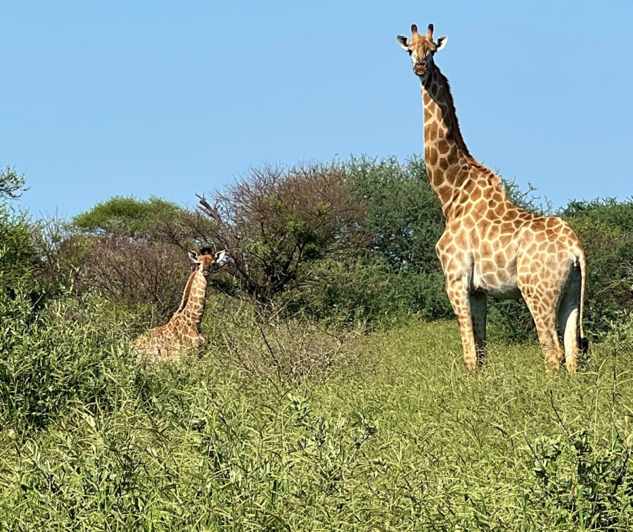 7 Bedroom Property for Sale in Thabazimbi Rural Limpopo